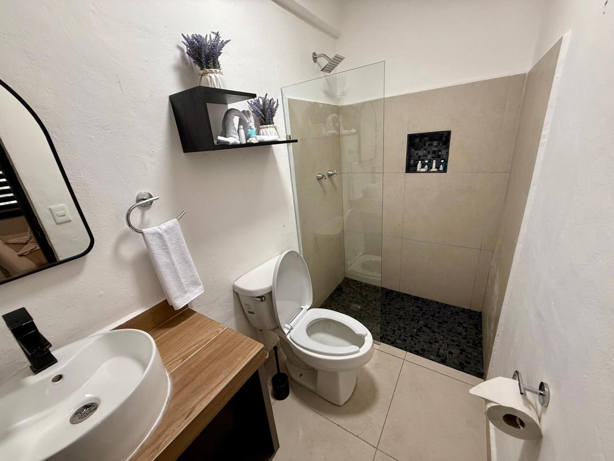 فندق Casa Tortuga 5Th Ave بلايا ديل كارمن المظهر الخارجي الصورة