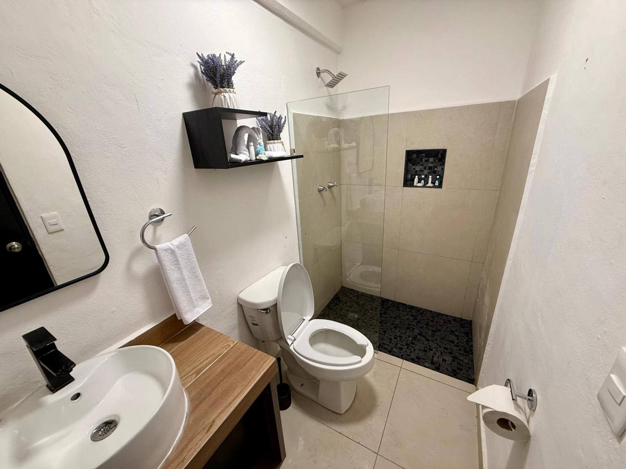 فندق Casa Tortuga 5Th Ave بلايا ديل كارمن المظهر الخارجي الصورة