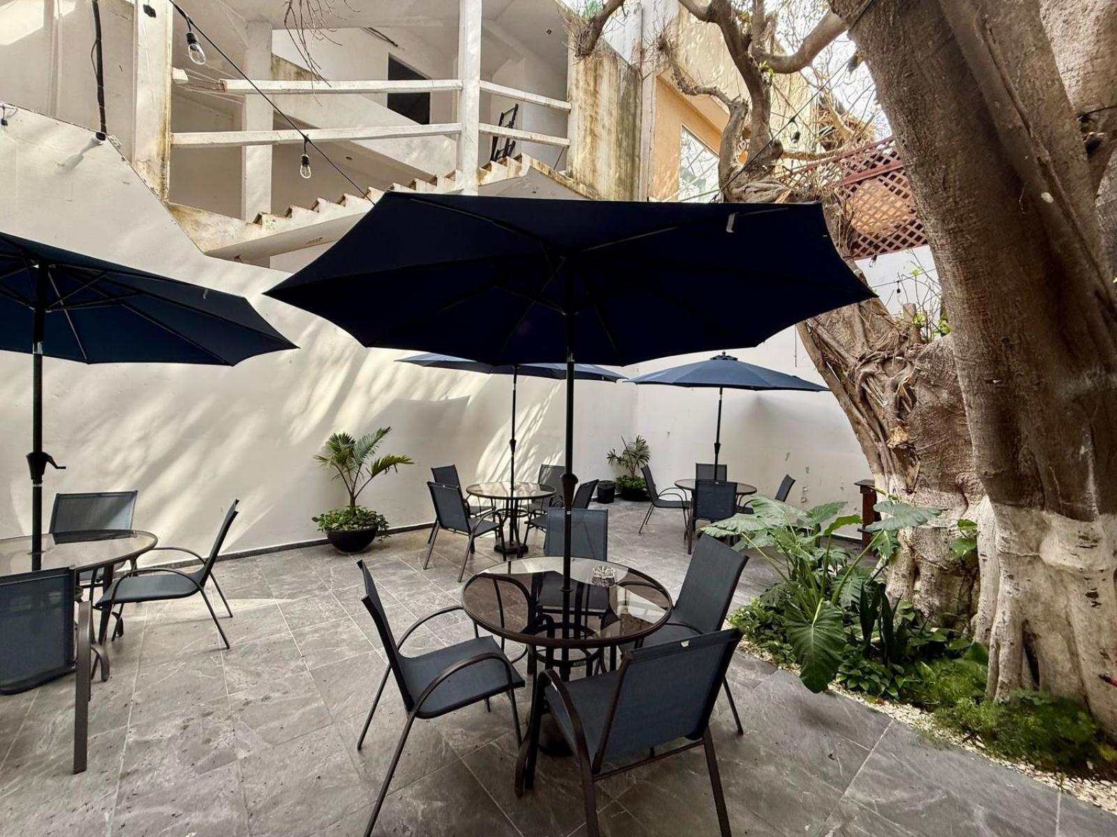 فندق Casa Tortuga 5Th Ave بلايا ديل كارمن المظهر الخارجي الصورة